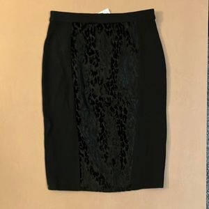 Size 2 Ann Taylor Pencil Skirt
